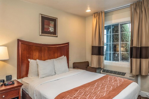 Blu Pacific Hotel image 13