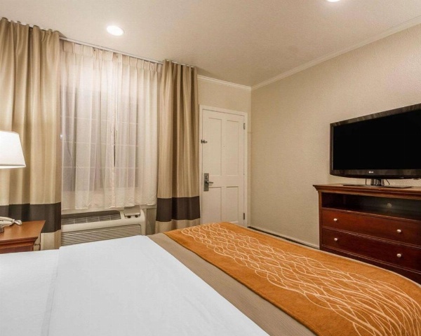 Blu Pacific Hotel image 14