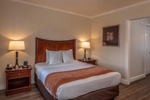 Blu Pacific Hotel image 16