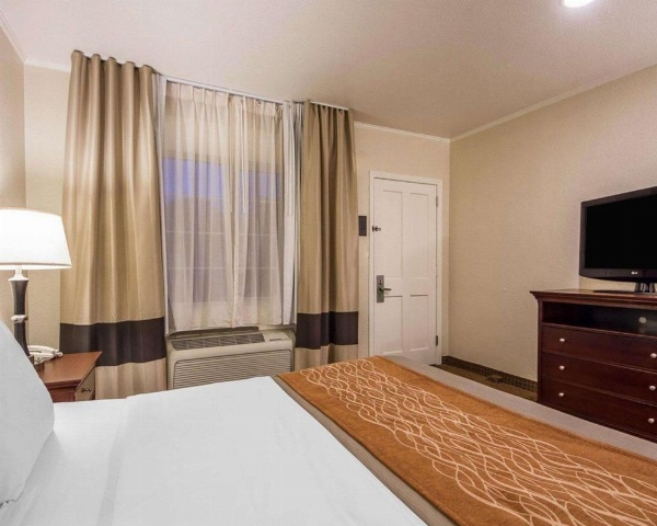Blu Pacific Hotel image 19