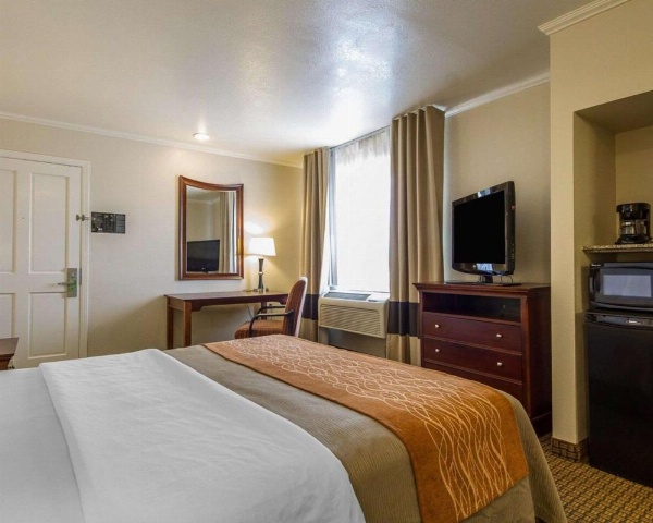 Blu Pacific Hotel image 44